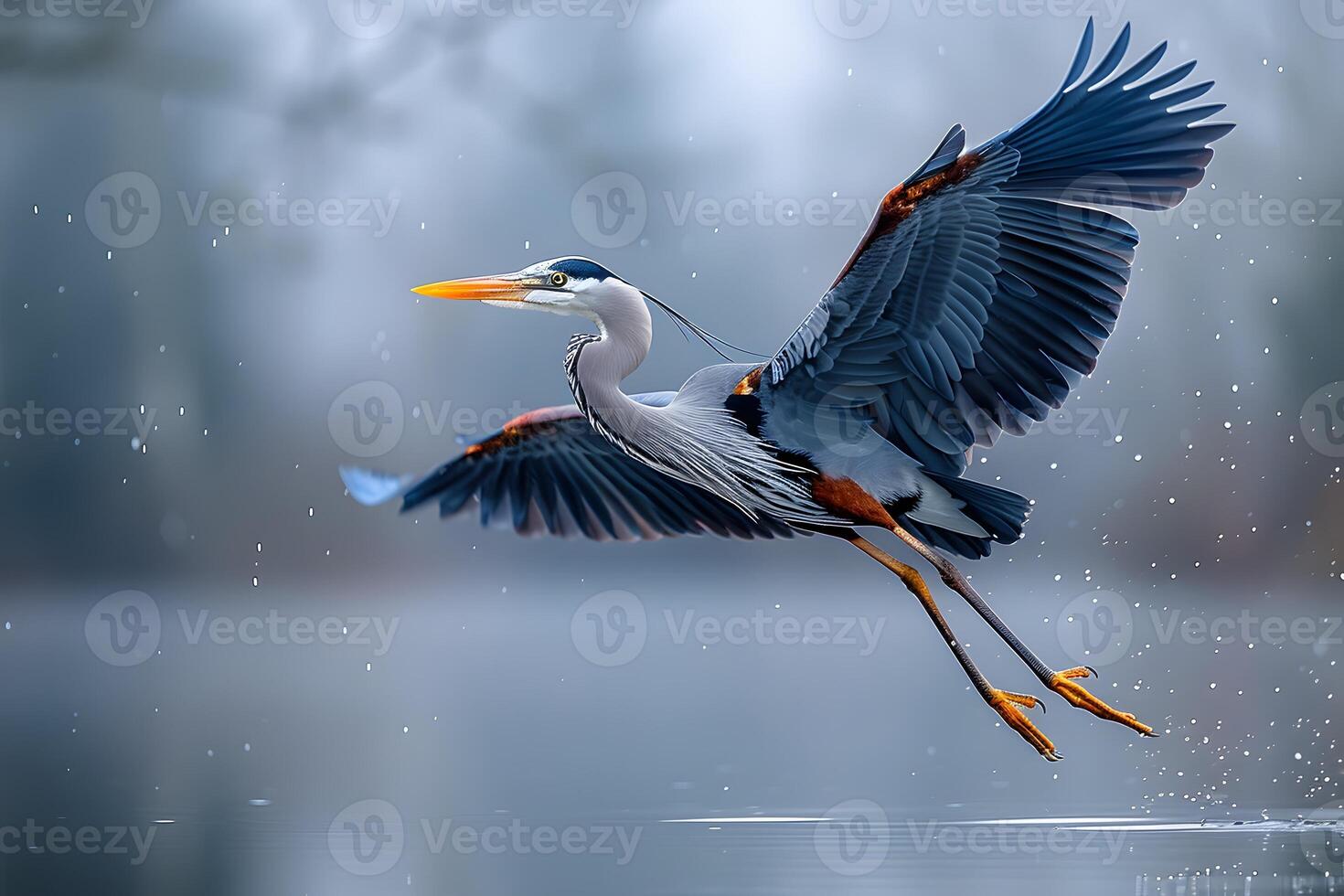 Heron in Flight Against Misty Water Background - Wildlife Photography photo