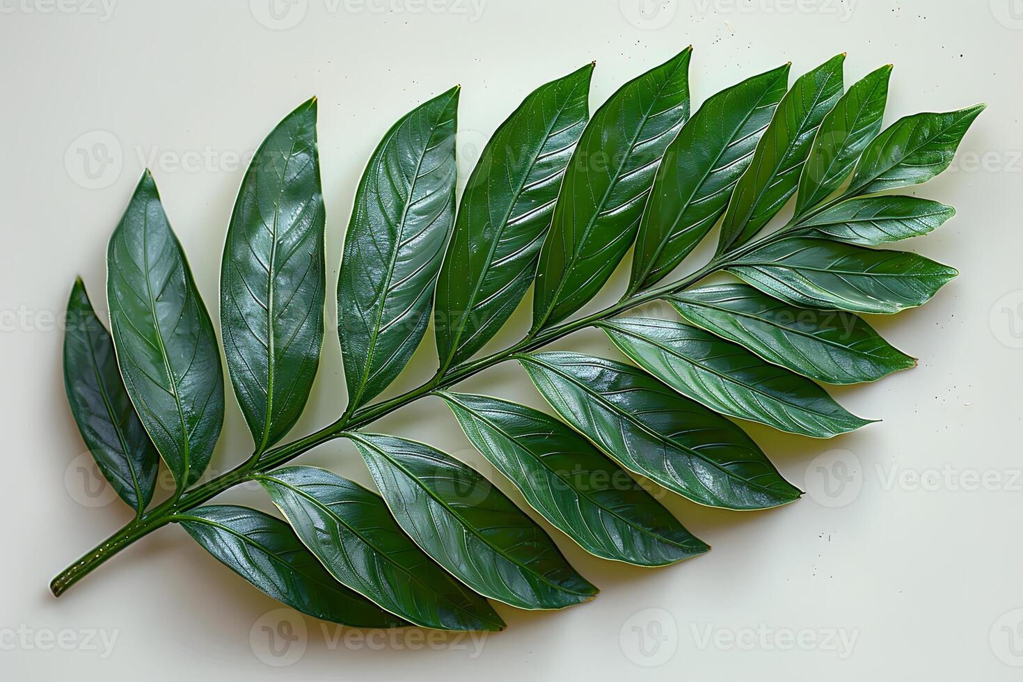 Tropical Greenery Realistic Artificial Leaf for Nature-Inspired Decor and Design photo