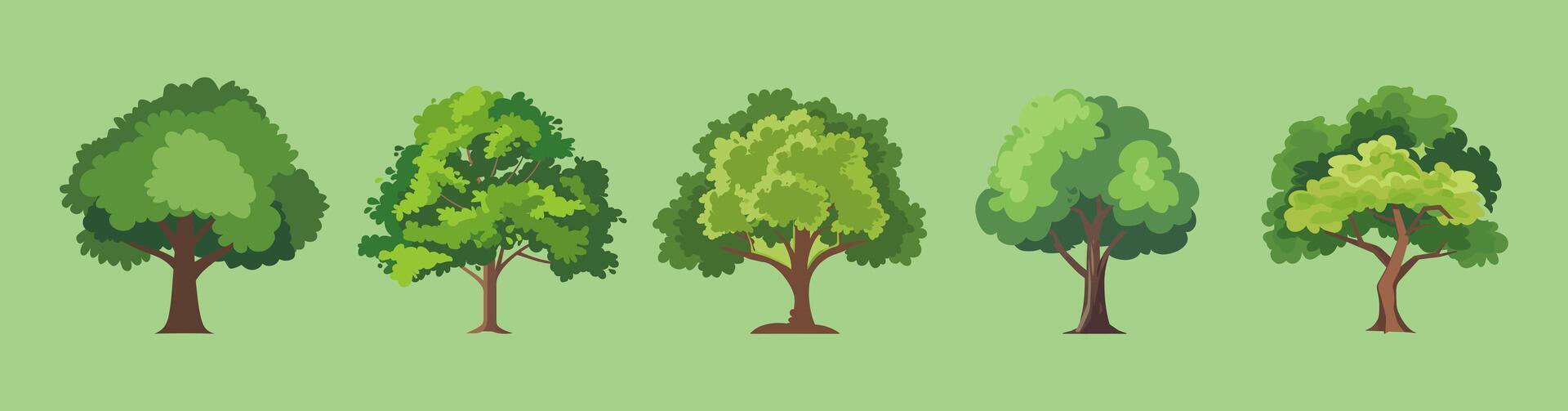 illustration of an oak tree vector
