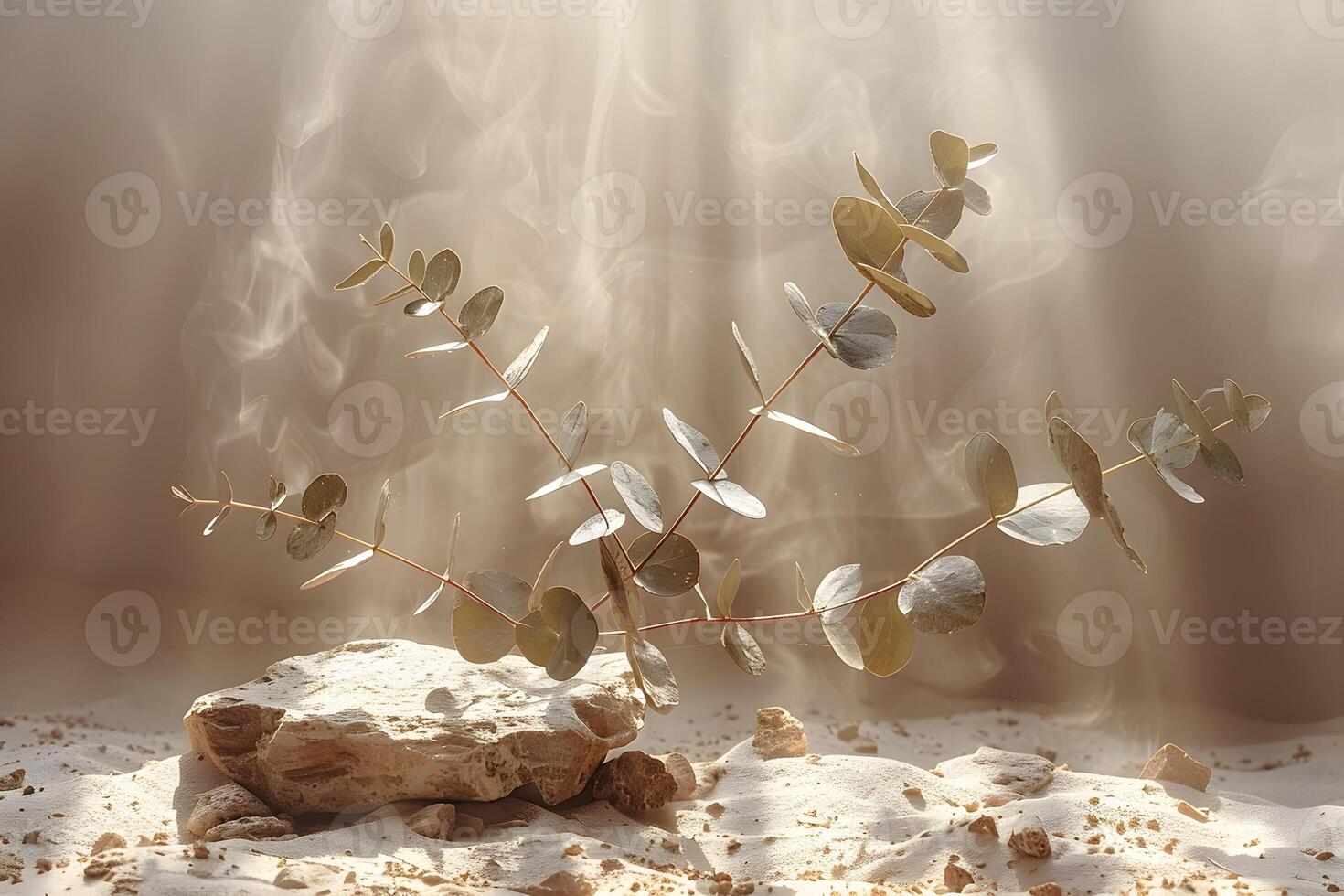 Ethereal Desert Scene with Eucalyptus Leaves on Rocks under Sunlight Nature, Tranquility, Design for Posters and Prints photo