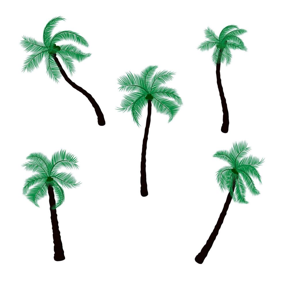 A group of palm tree transparency background vector