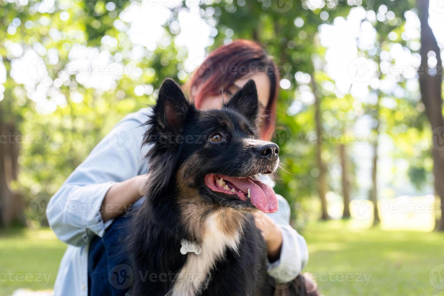 An Asian woman is training her dog in a park on a sunny day, enjoying a fun outdoor moment together. photo
