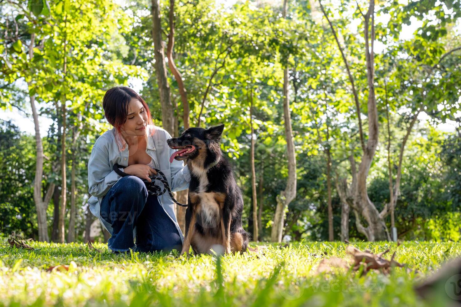 An Asian woman is training her dog in a park on a sunny day, enjoying a fun outdoor moment together. photo
