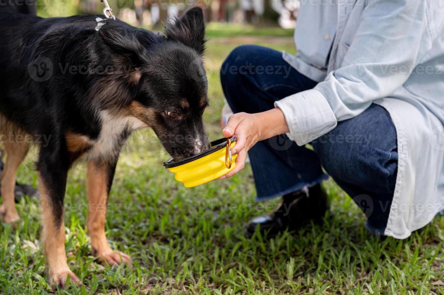A woman giving water to her dog while enjoying outdoor activities together in a park. photo