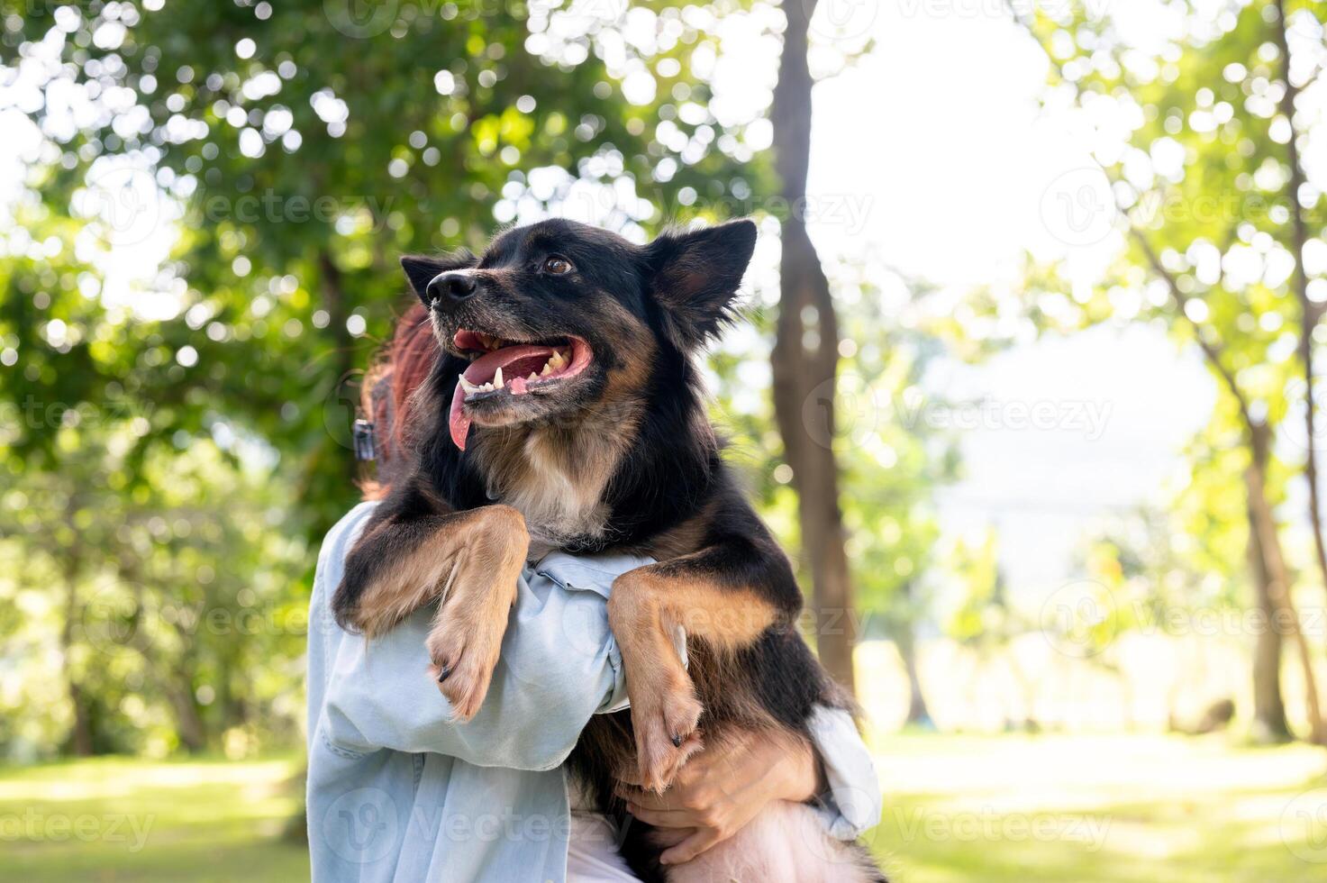A woman holding her dog in her arms while walking through a green park, hugging her pet. photo