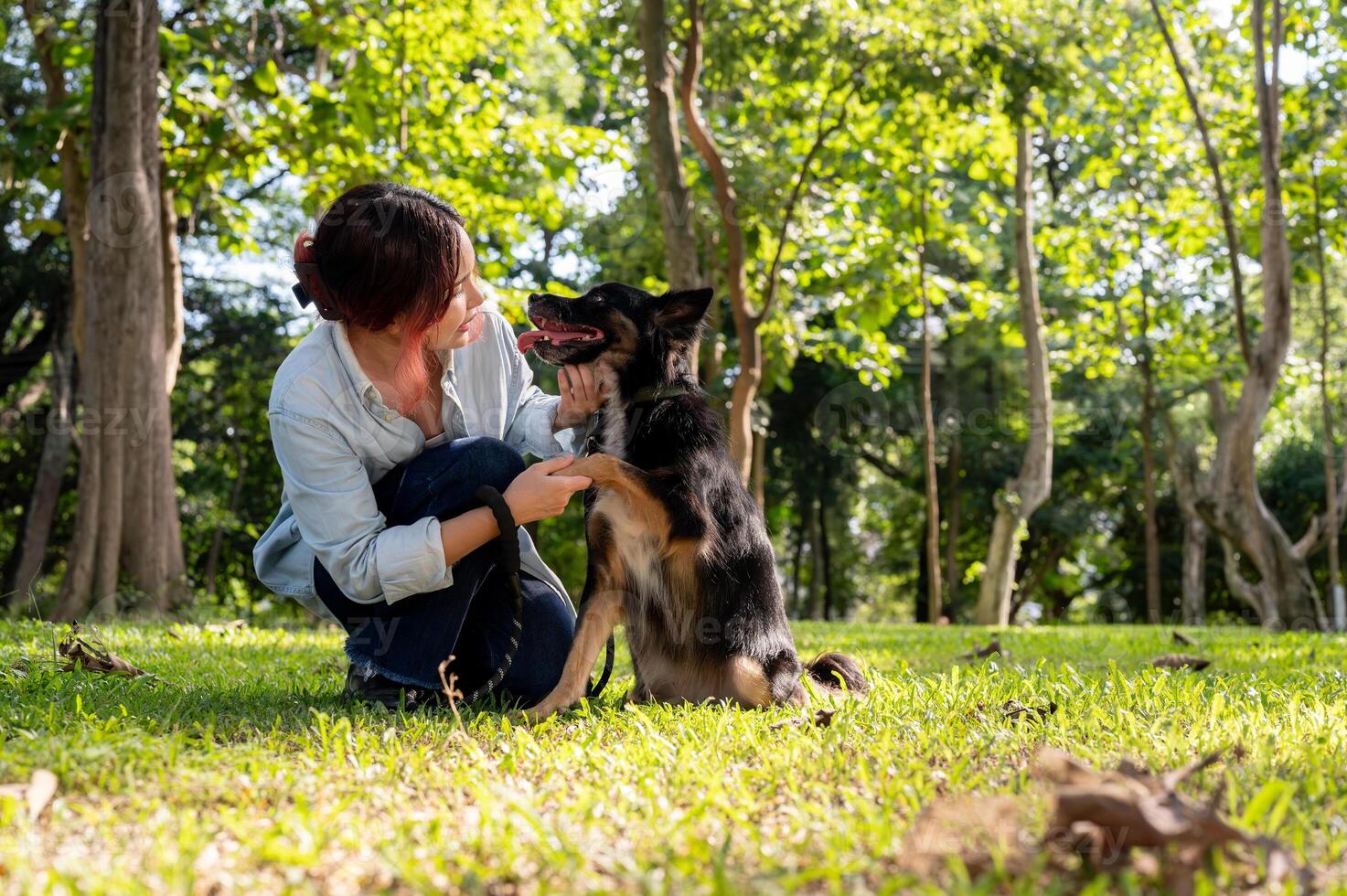 A woman is training her dog in a park on a sunny day, talking and bonding with her pet. photo