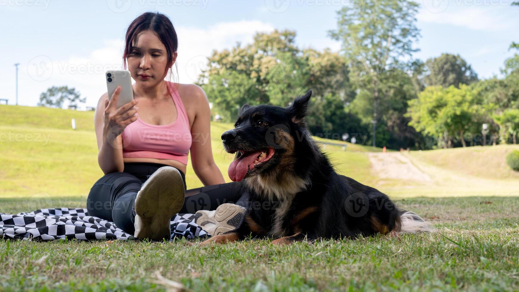 A beautiful dog with dark fur is relaxing with its owner after a run in the park on a sunny day. photo