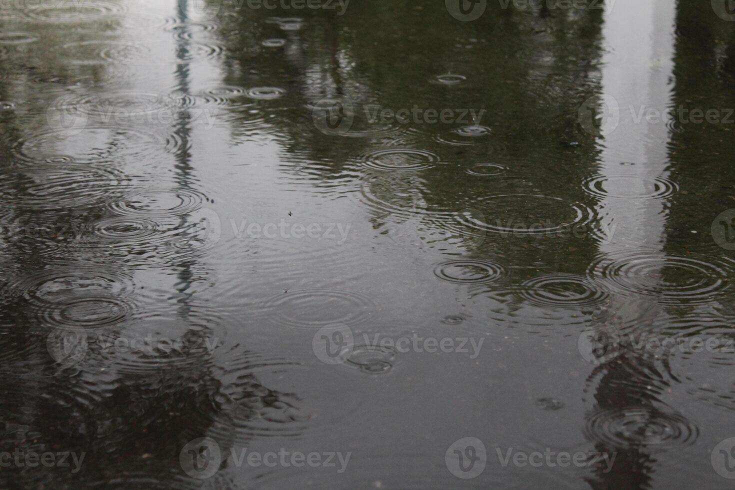 circles from raindrops puddle water during rain close-up of innacity photo