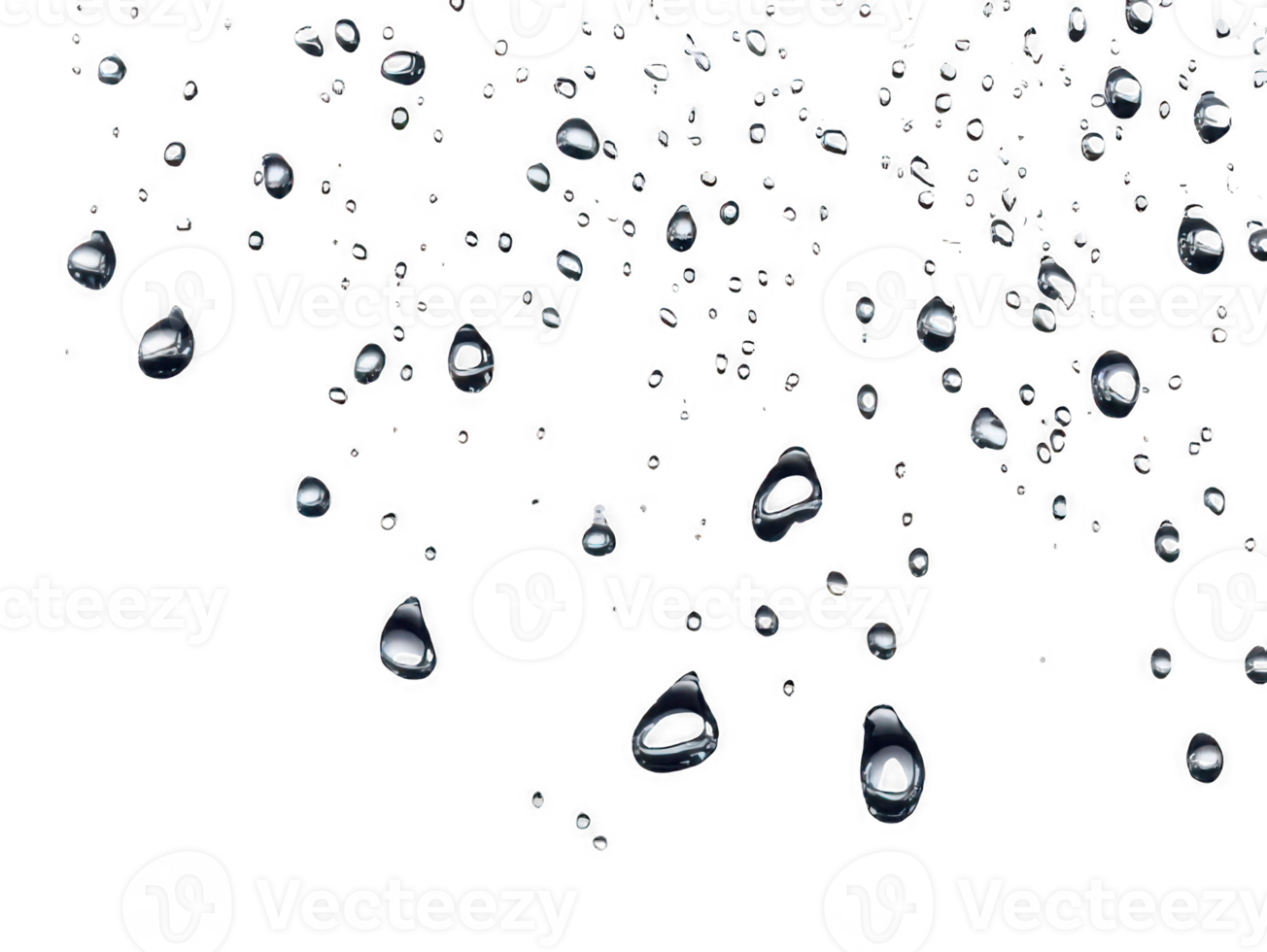 Drops of Water. transparent background png