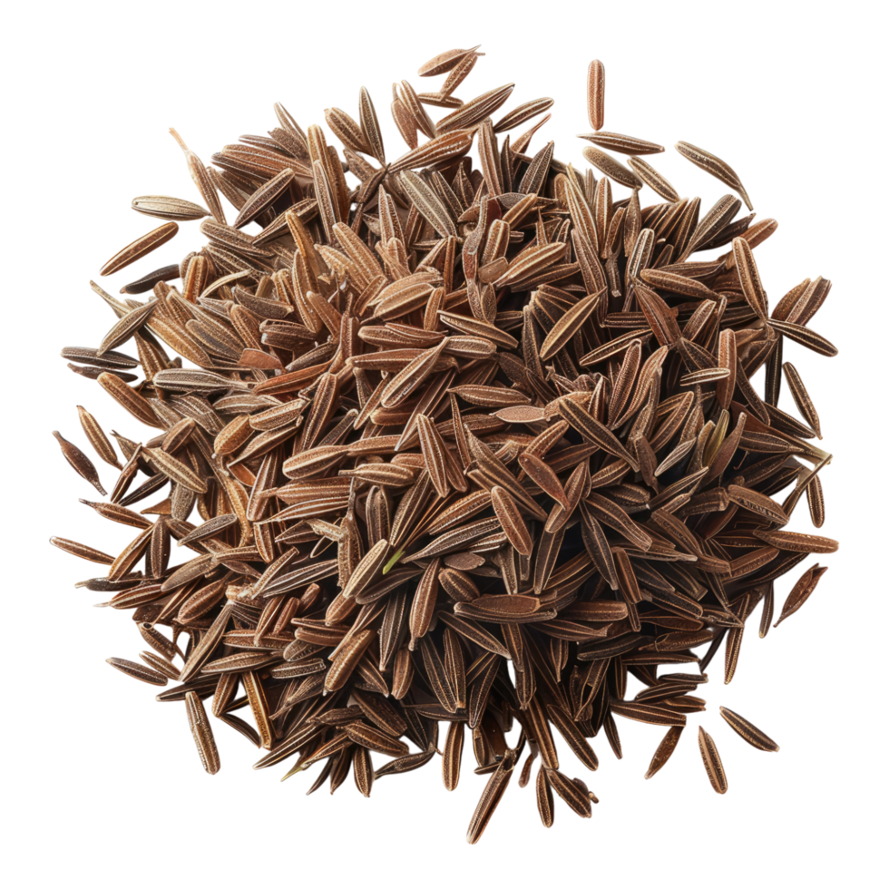 Cumin isolated on transparent background png