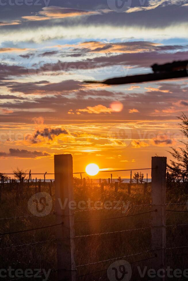 Golden Horizon - Sunset over Fenced Fields photo