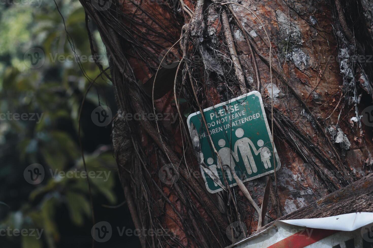 Lost in the Vines - A Faded Caution photo