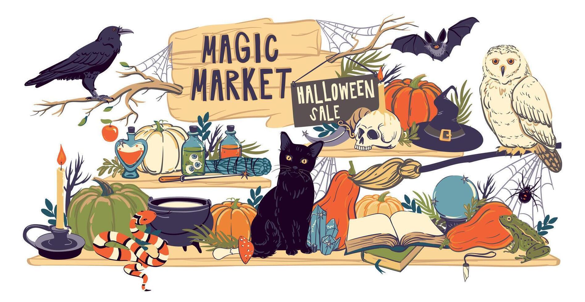 Showcase of magic shop decorated for Halloween. Shelves with witchcraft and witchcraft goods, cauldron, grimoire, potion, elixir, skull, magic ball, cat, snake, owl, toad, spider. illustration vector