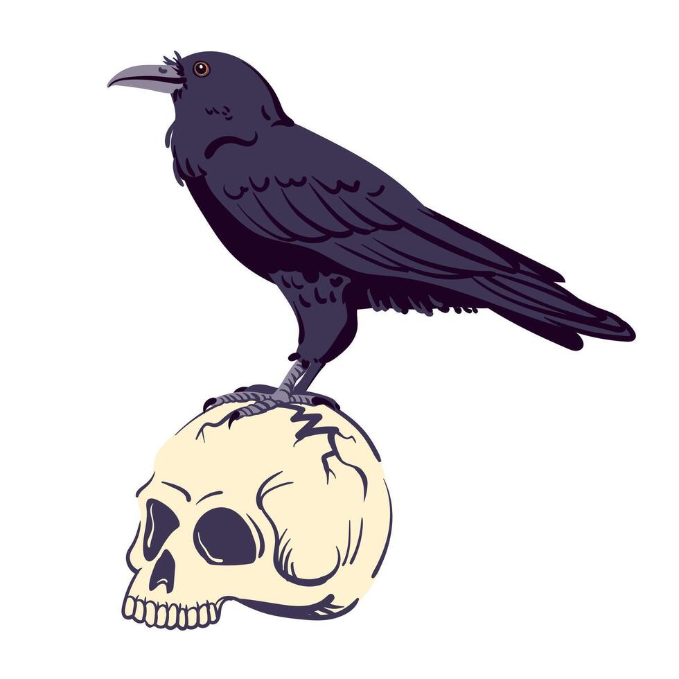 Black raven standing on a human skull. illustration for Halloween. Witch's familiar, magical totem animal, guide to the afterlife. Symbol of death, witchcraft, mysticism and alchemy. vector