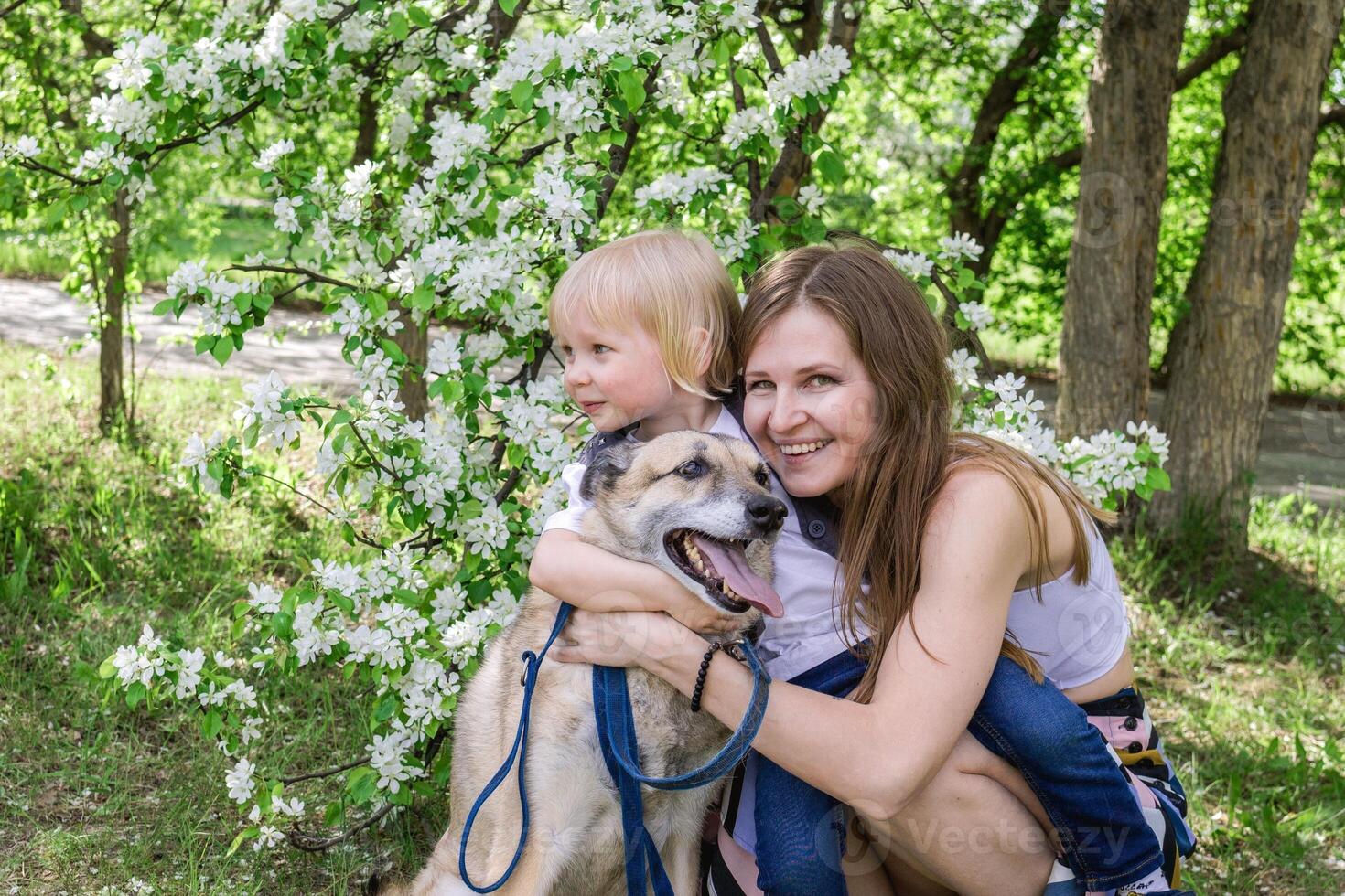 Happy mother and son with a dog in the park on spring day, outdoors lifestyle candid moment. photo