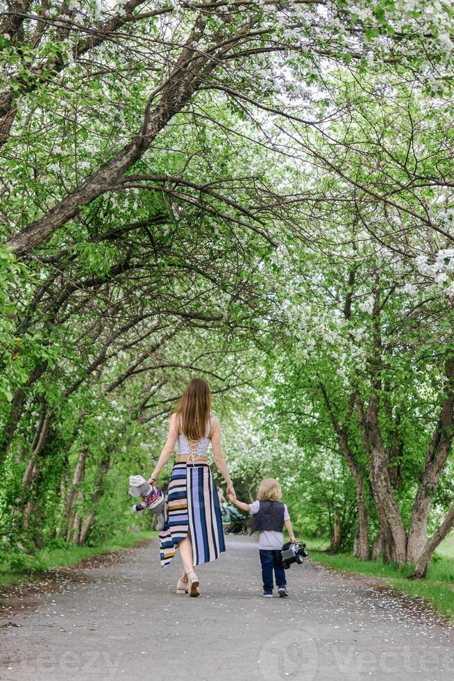 Mother and son walking down a park s scenic path lined with blossoming trees in spring. photo