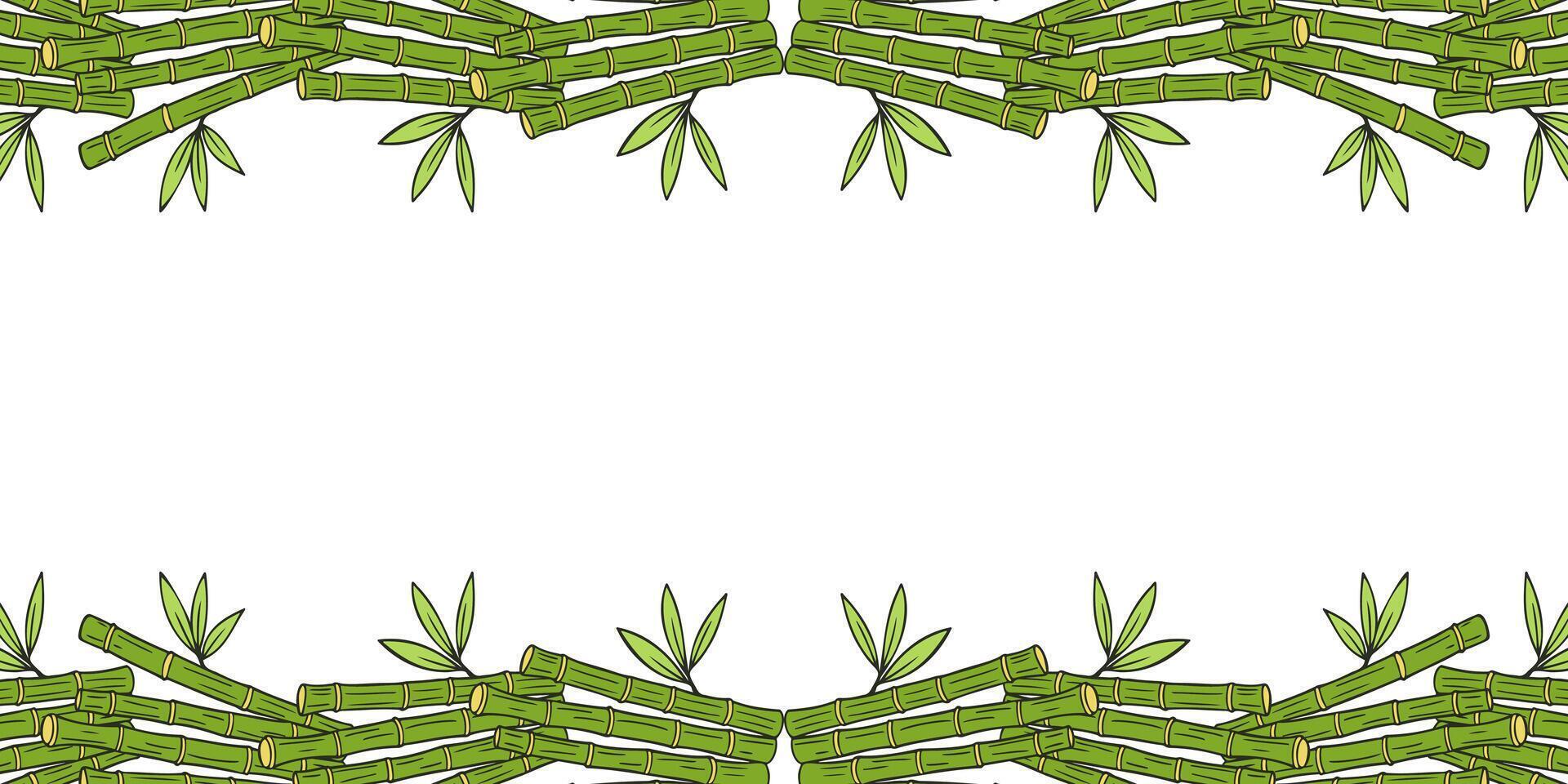Bamboo frame, horizontal banner with green sticks, hand drawn bamboo doodles on white background. vector
