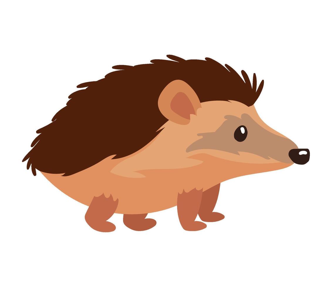 woodland animal hedgehog illustration design vector