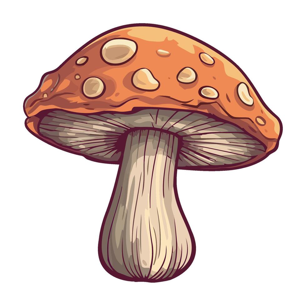 illustration of a mushroom on a white background vector