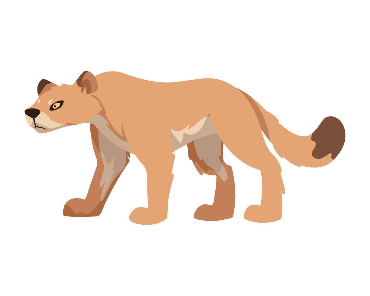 woodland animal cougar illustration design vector