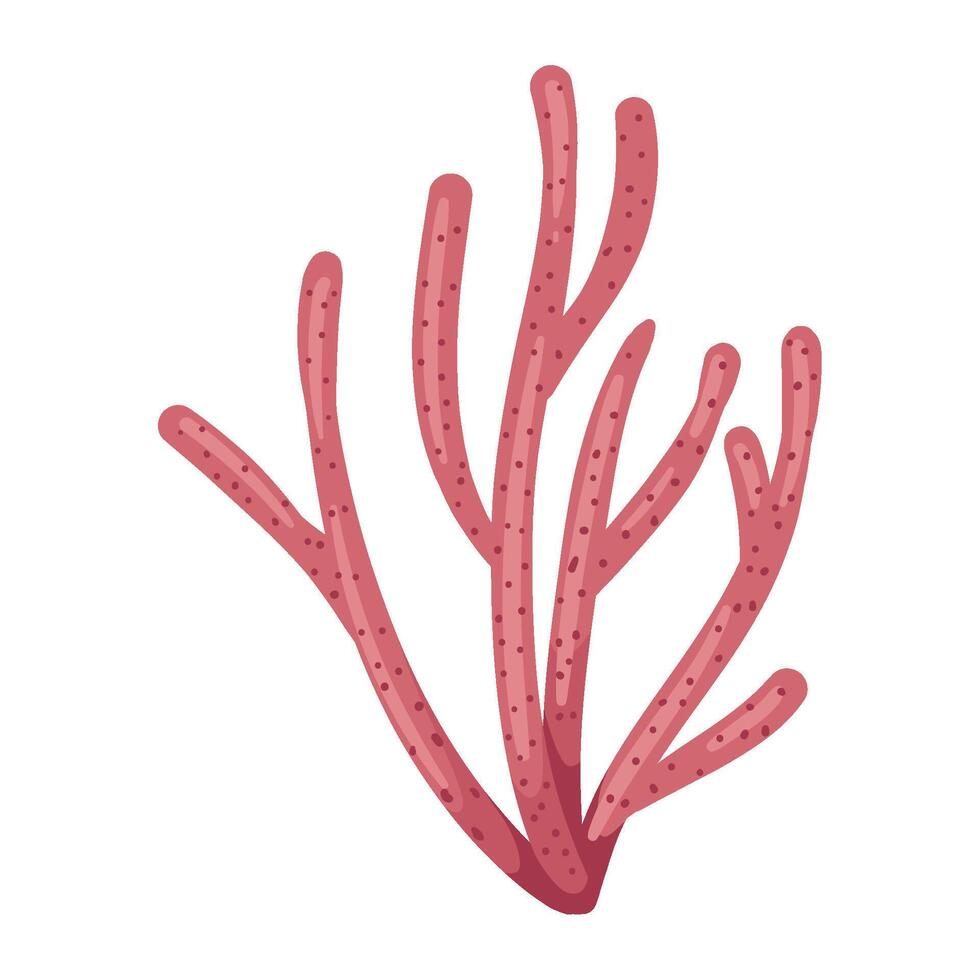 Red sea coral isolated illustration vector