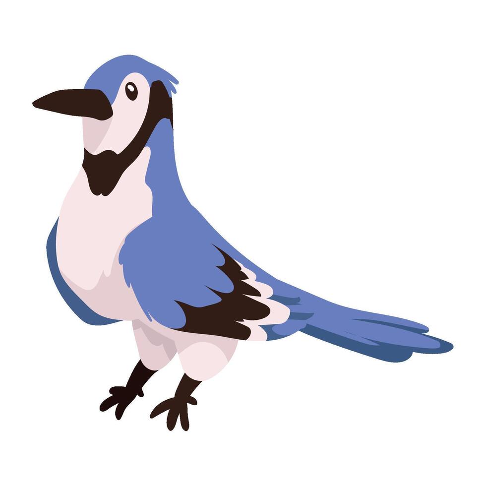 woodland animal bird illustration design vector