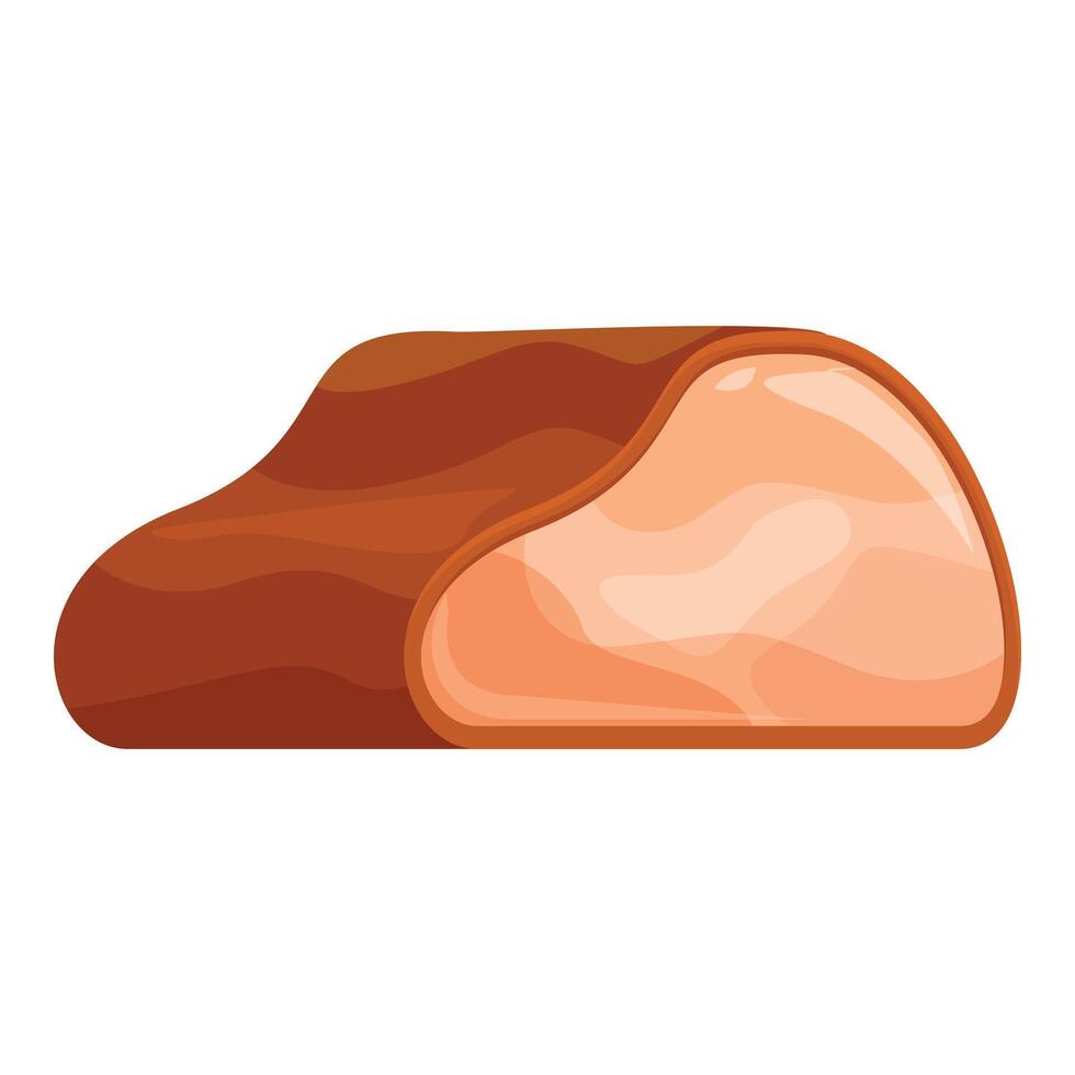 Smoked meat loaf piece lying isolated on white background vector