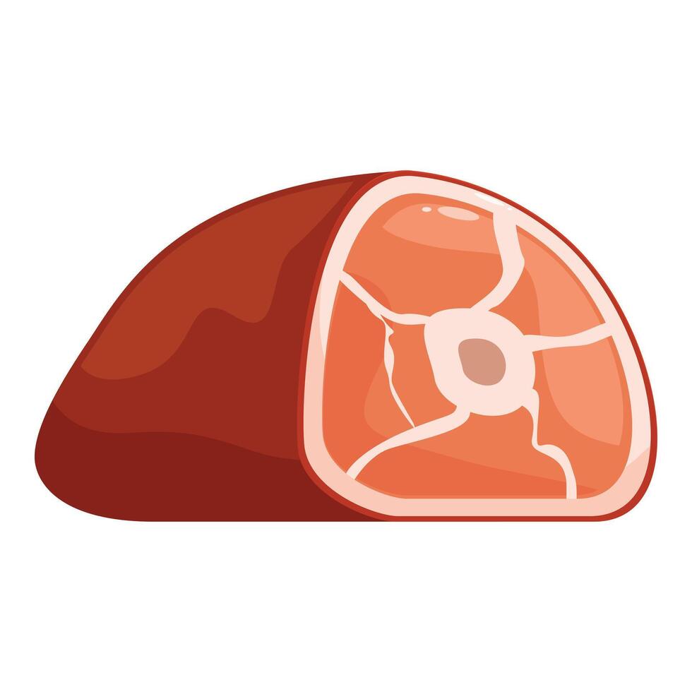 Smoked gammon joint with a bone showing cross section vector