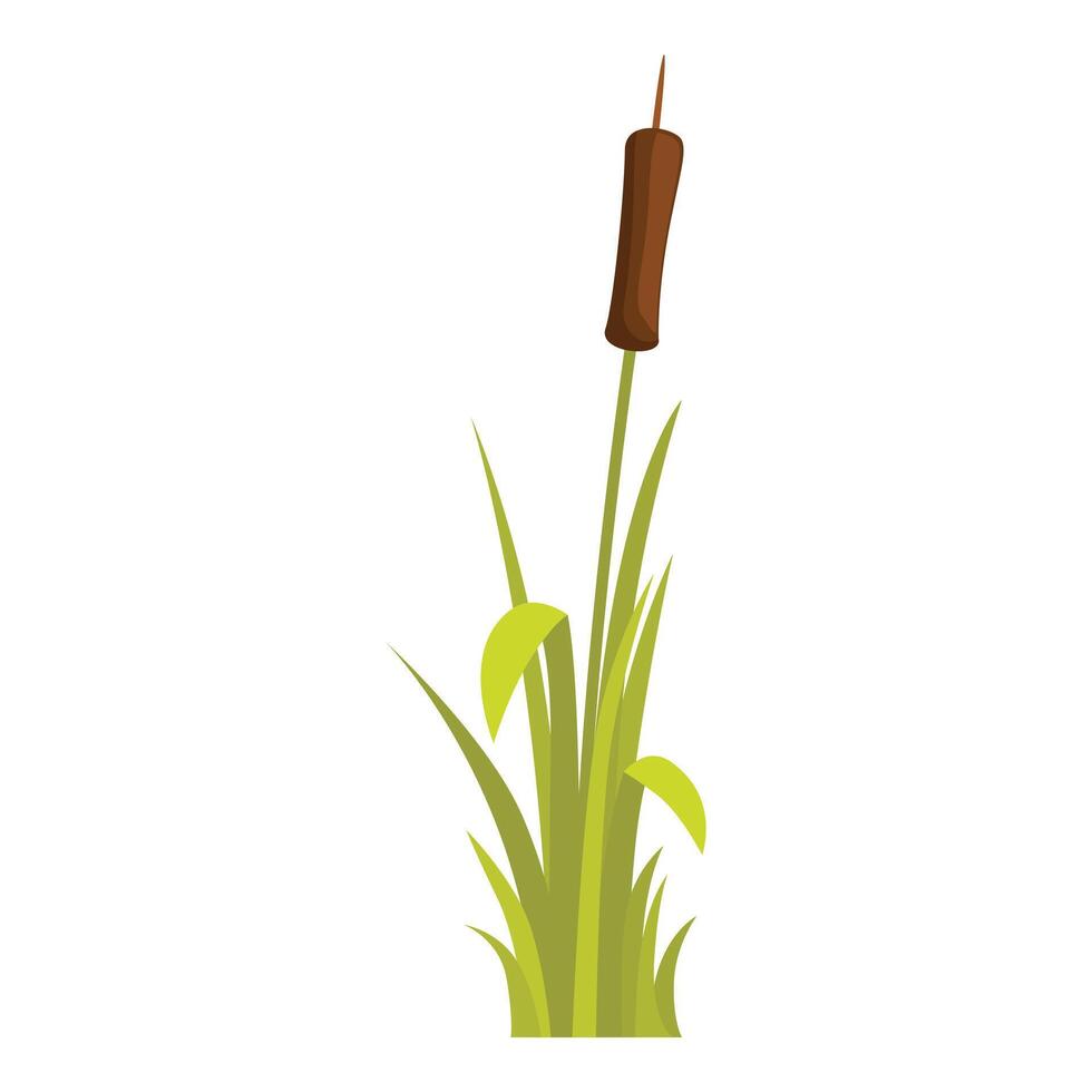 Single green bulrush growing by the pond vector