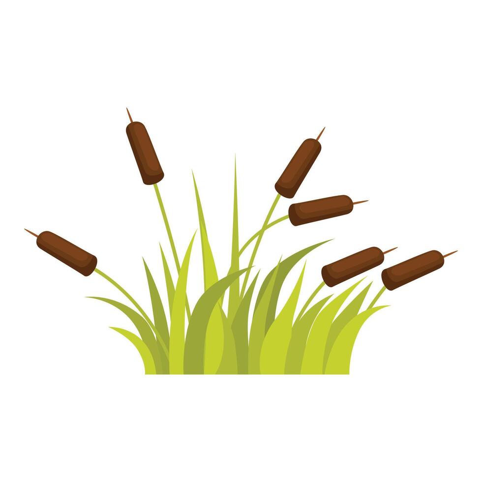Green grass and reeds growing in wetland area vector