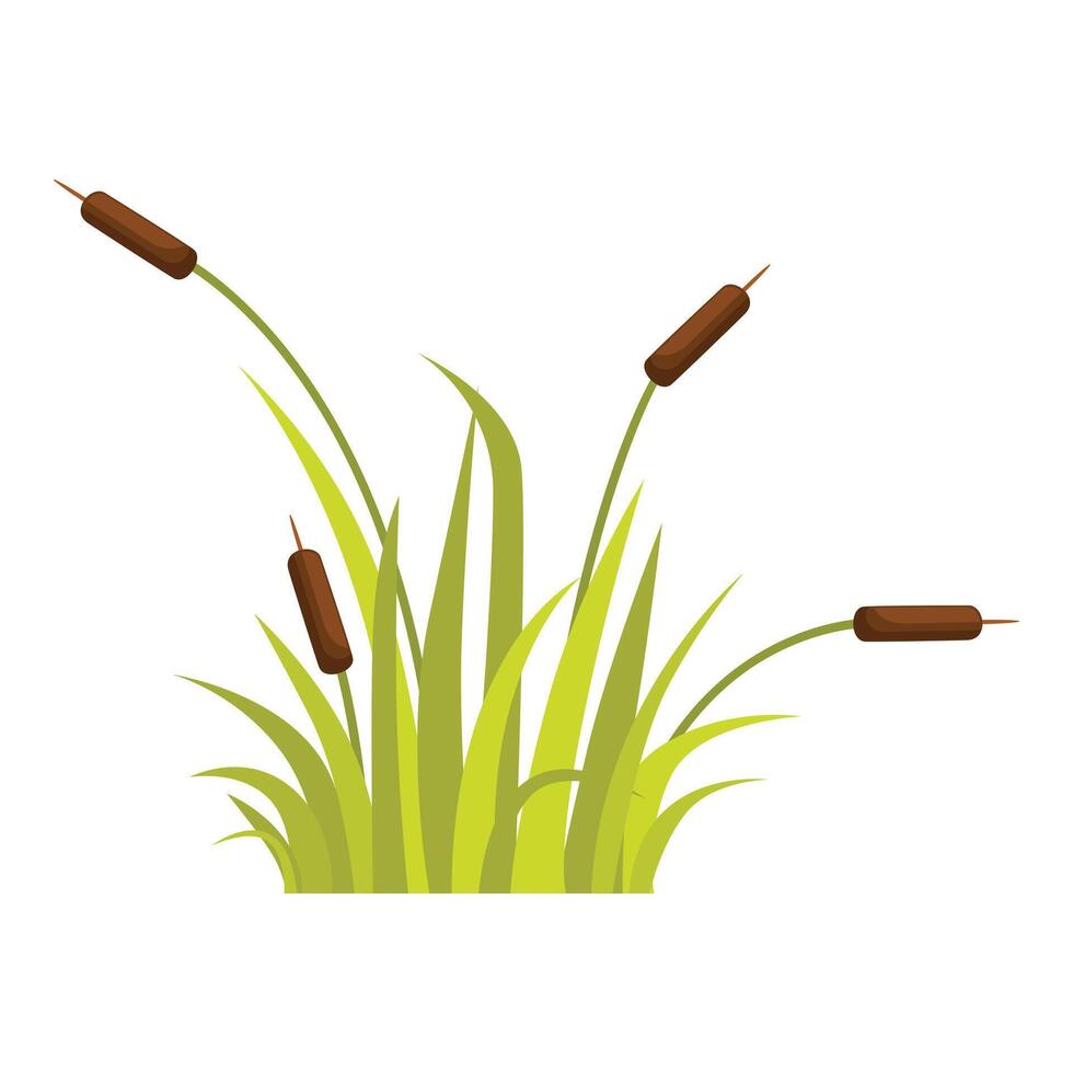 Green swamp reed grass growing wild illustration vector