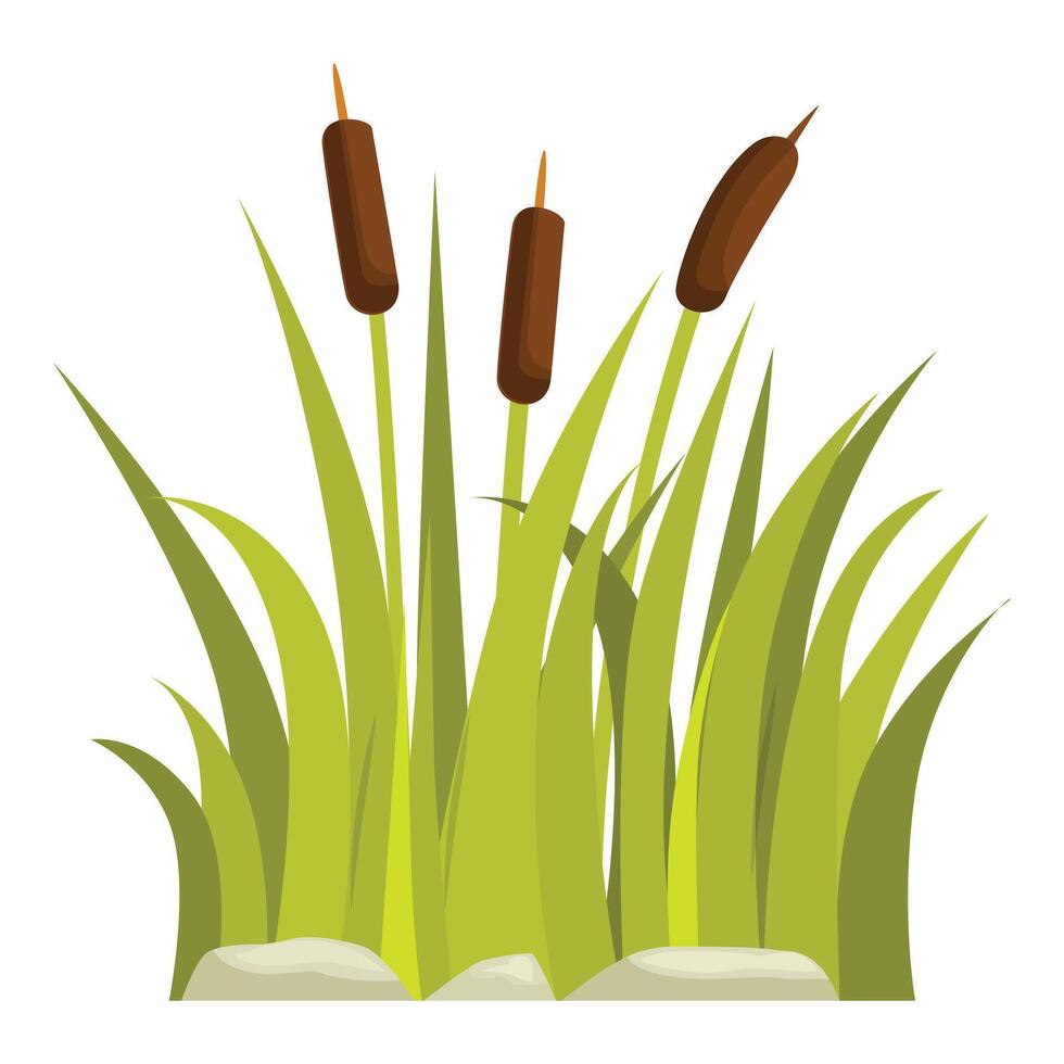Green reeds growing near river bank with stones vector