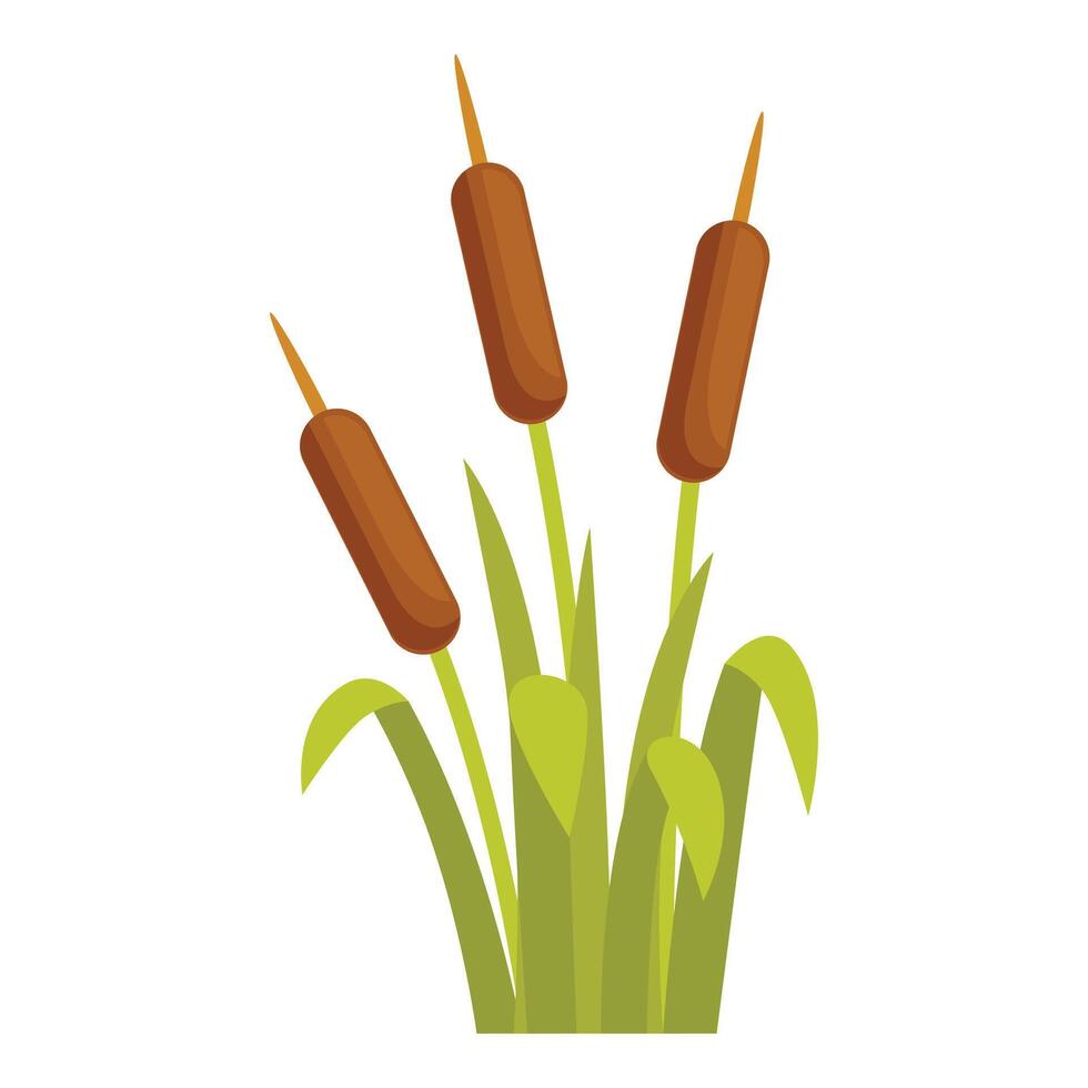 Three cattails growing in green swamp grass vector