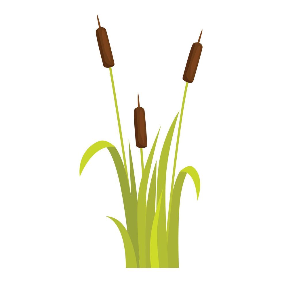 Three cattails growing in green grass blades vector