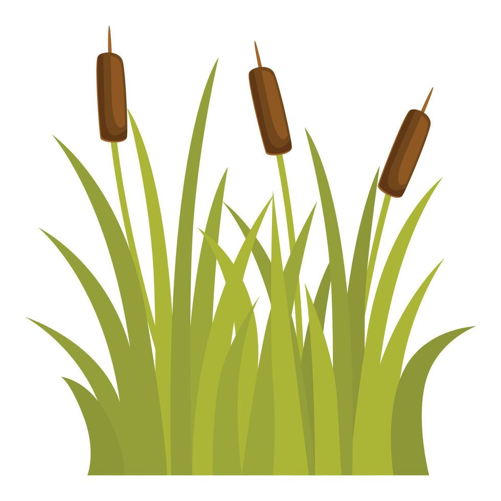 Three cattails growing in green swamp grass vector