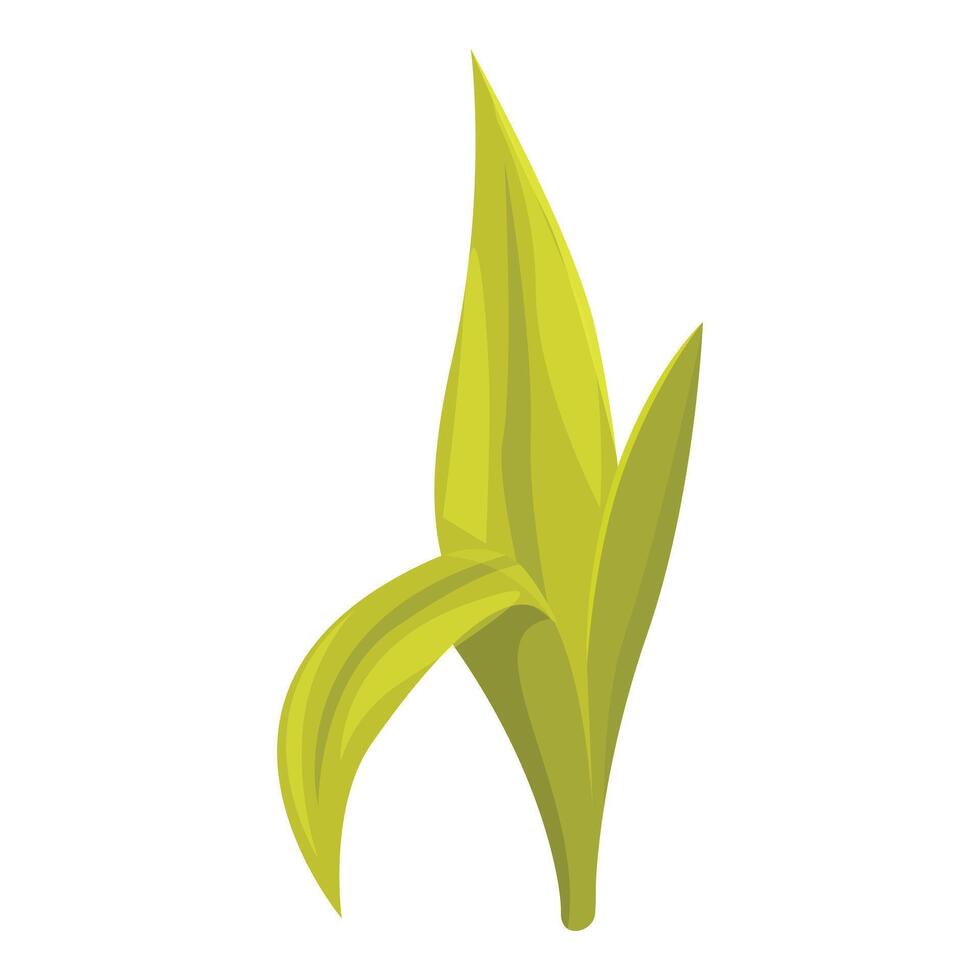 Green tea leaf sprout growing from stem vector