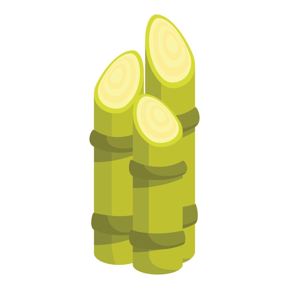 Fresh sugarcane stalks standing upright vector