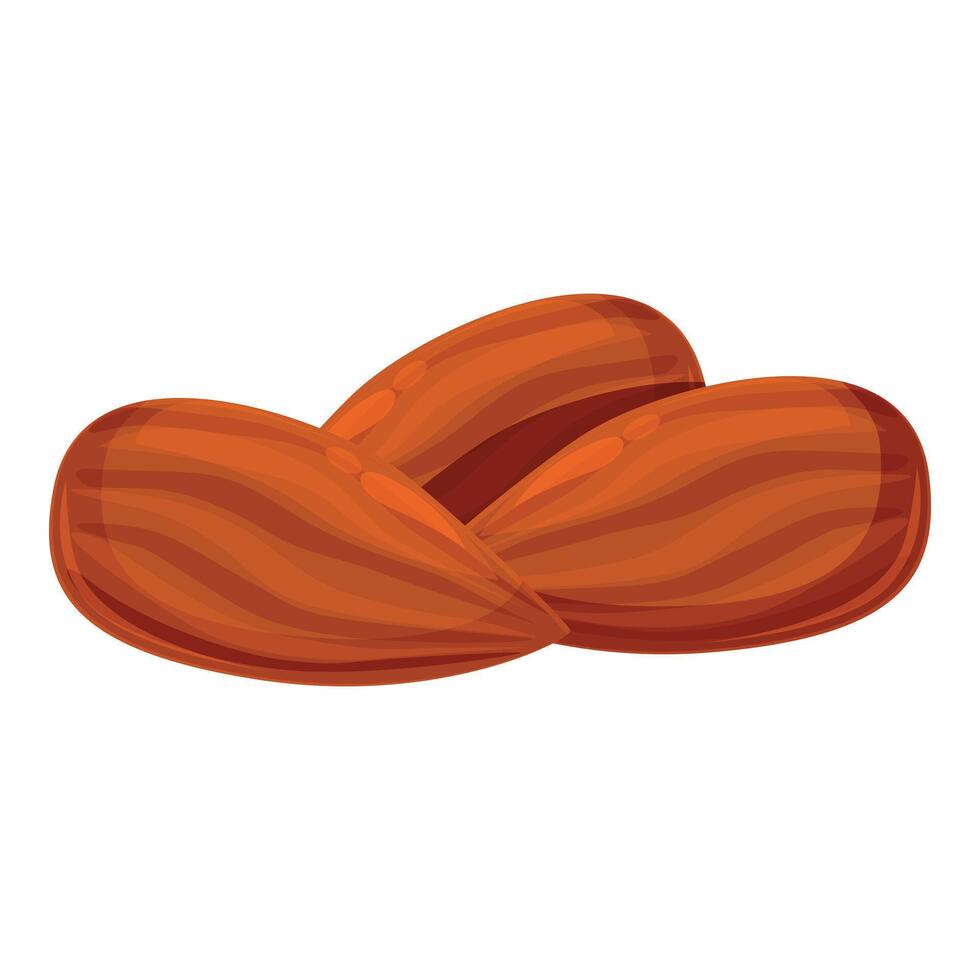 Three almond nuts forming a small pile vector