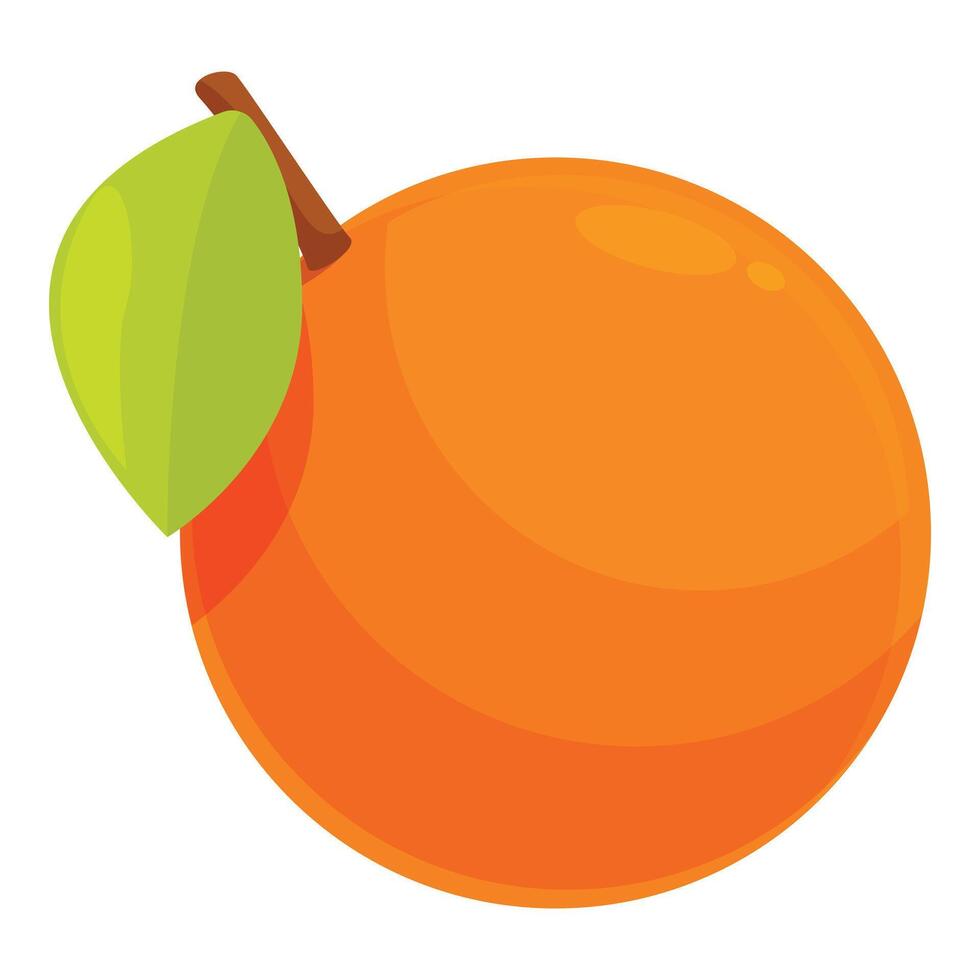 Ripe orange fruit with leaf still growing vector