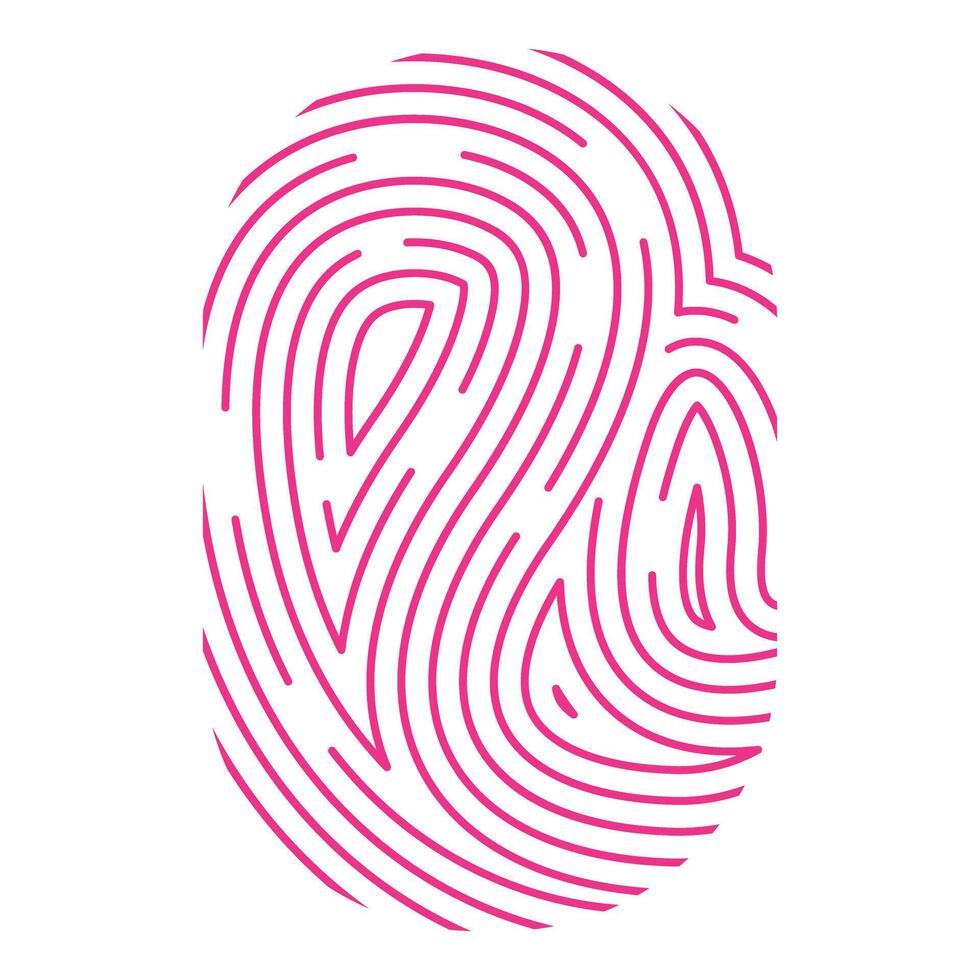 Pink fingerprint showing concept of identity vector