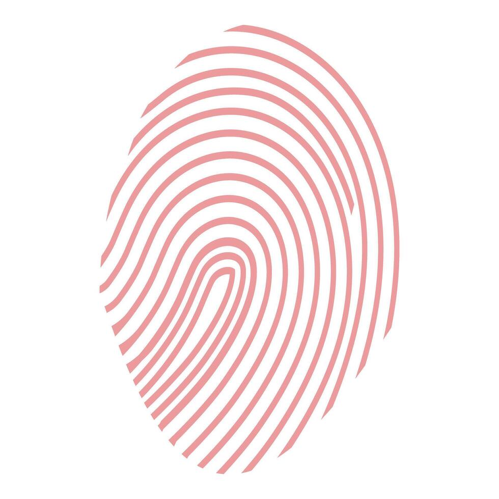 Pink fingerprint showing concept of digital security vector