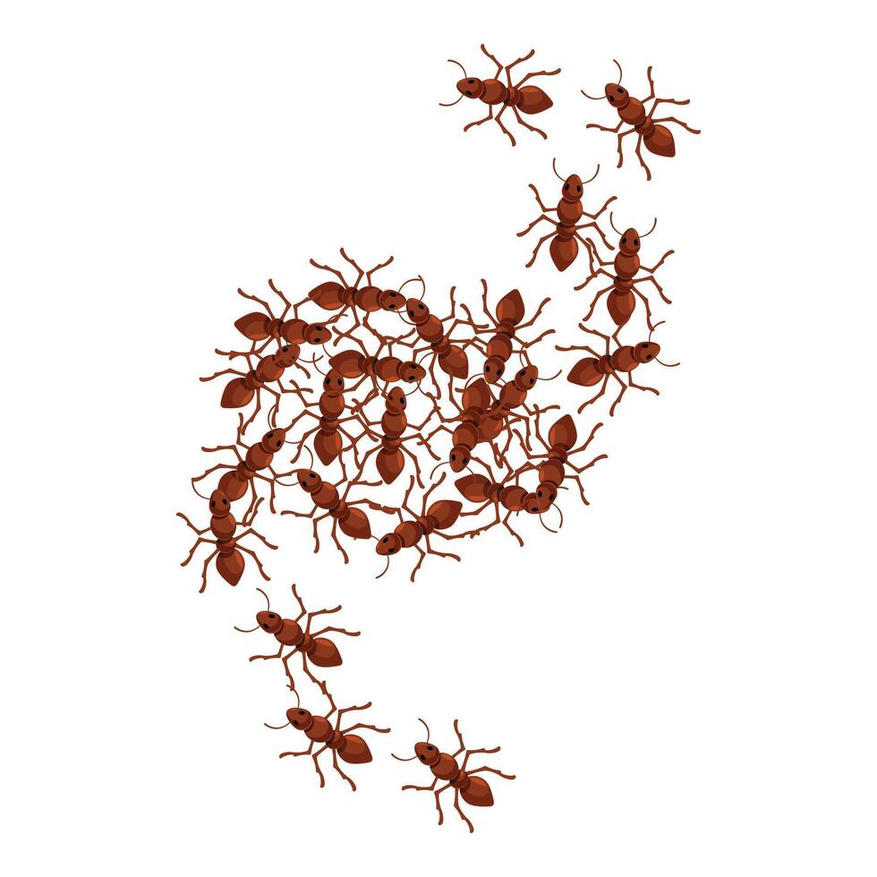 Colony of ants marching in trail formation vector