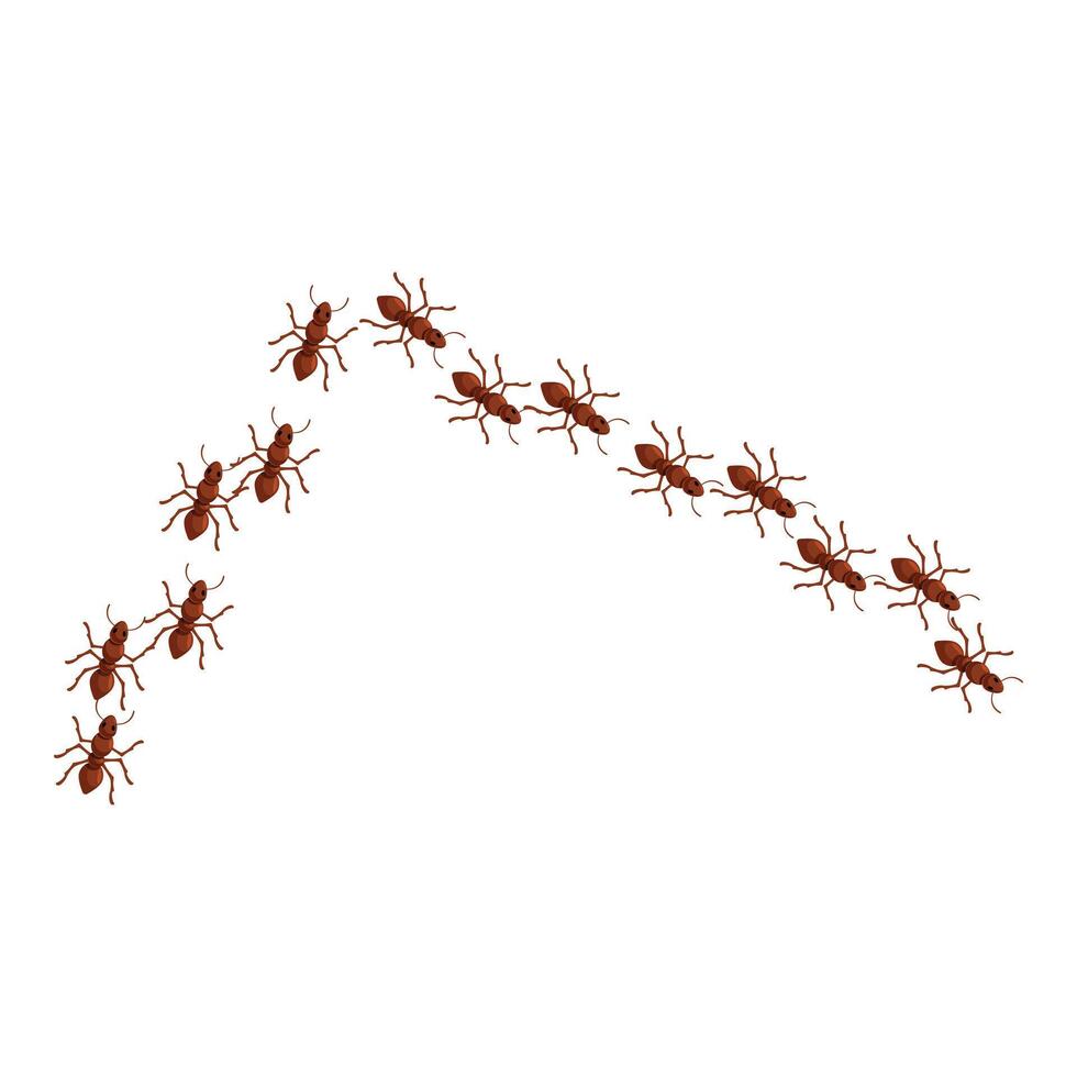 Colony of ants marching in a line on white background vector