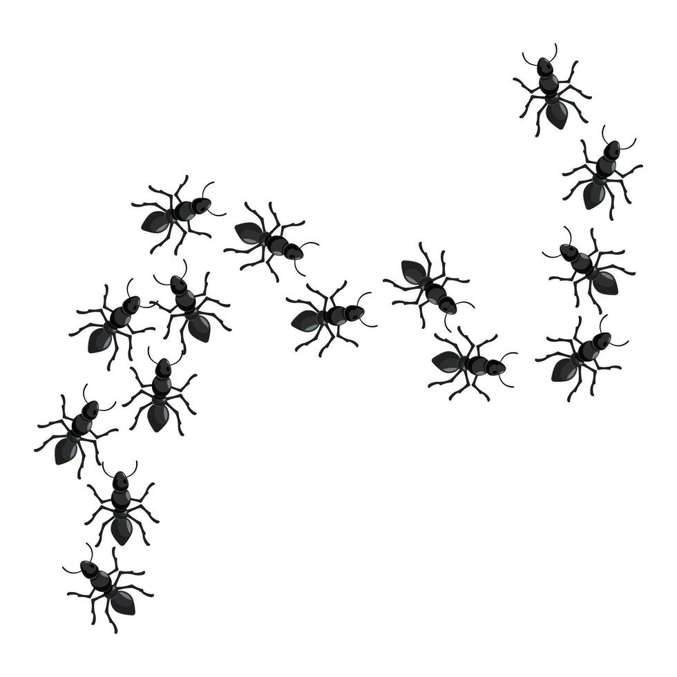 Colony of ants marching in trail formation vector