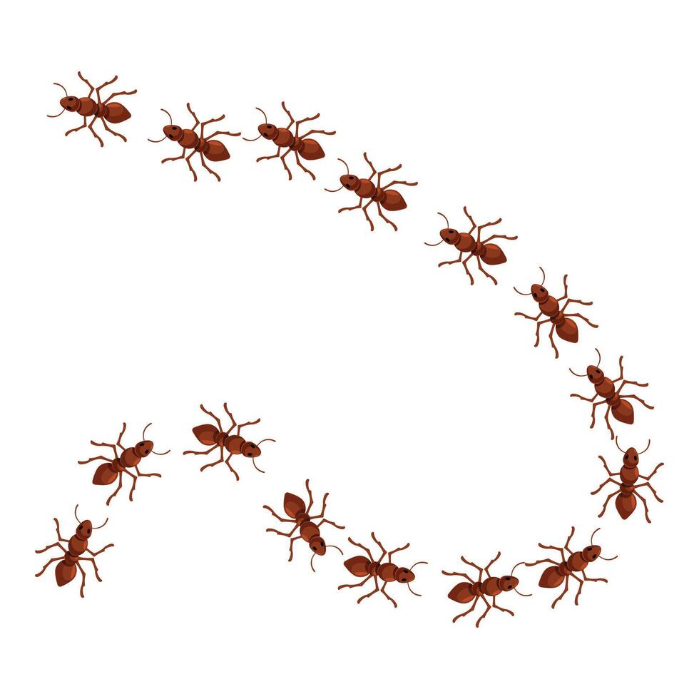 Colony of red ants marching in a circle forming a spiral shape vector