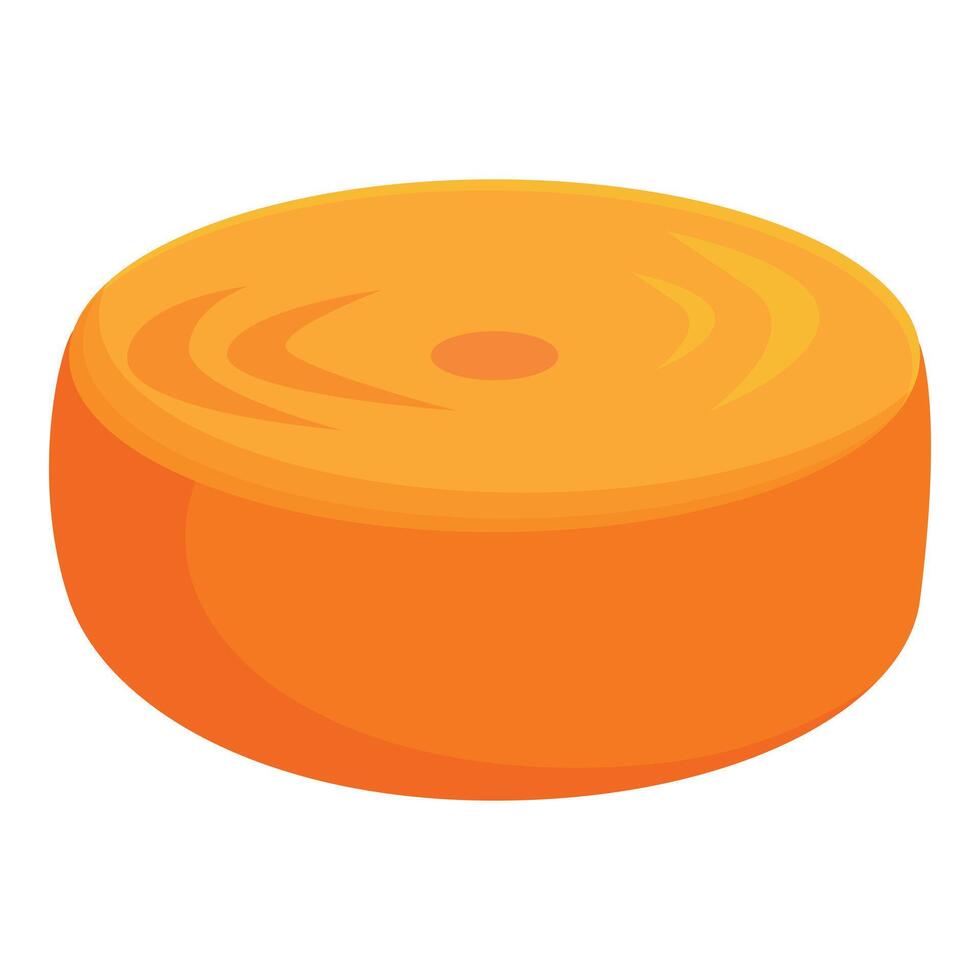 Round piece of cheese wheel showing texture and color vector