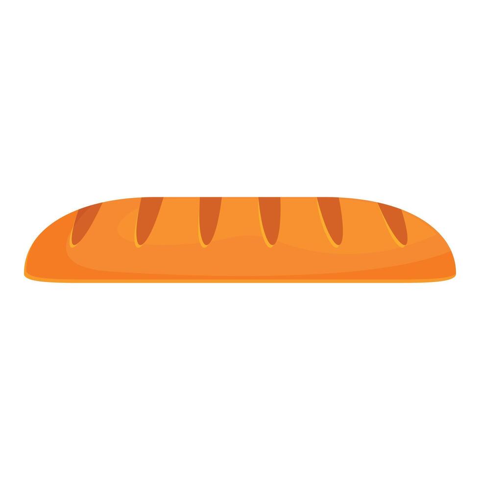 Freshly baked long loaf of bread isolated on white background vector