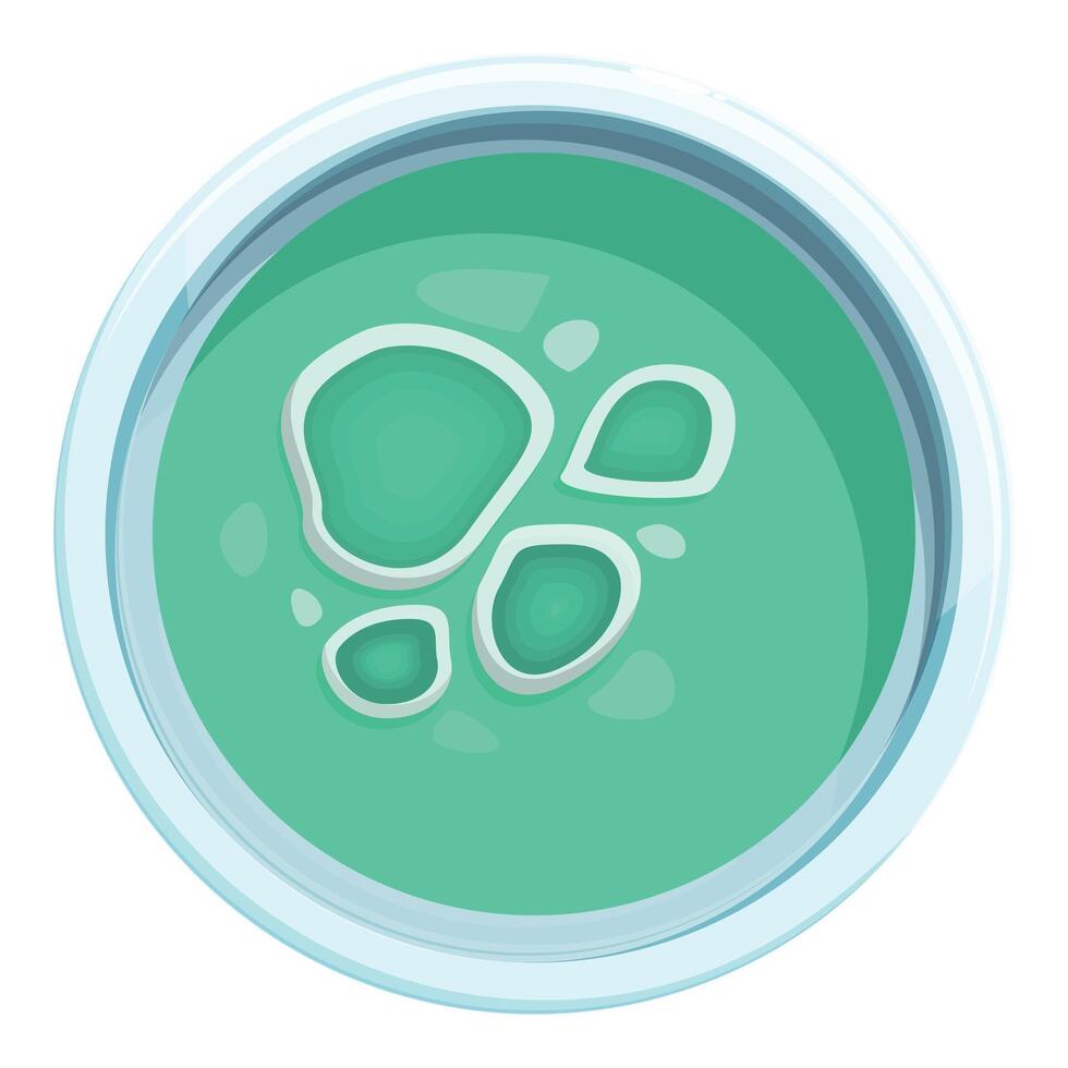 Petri dish with growing bacteria culture for scientific research vector