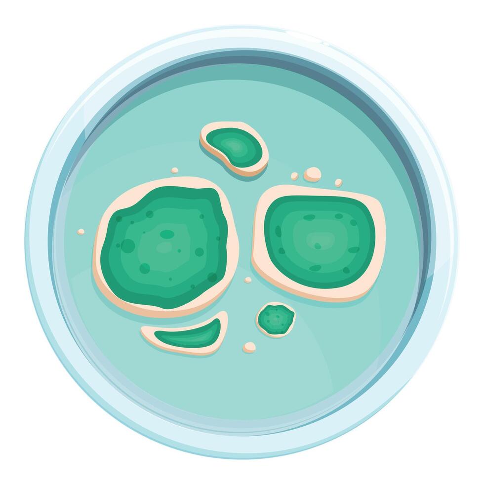 Petri dish with colony of bacteria growing in it vector