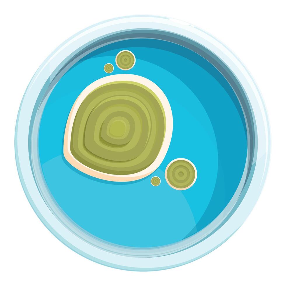 Petri dish with bacteria or mold growing inside vector